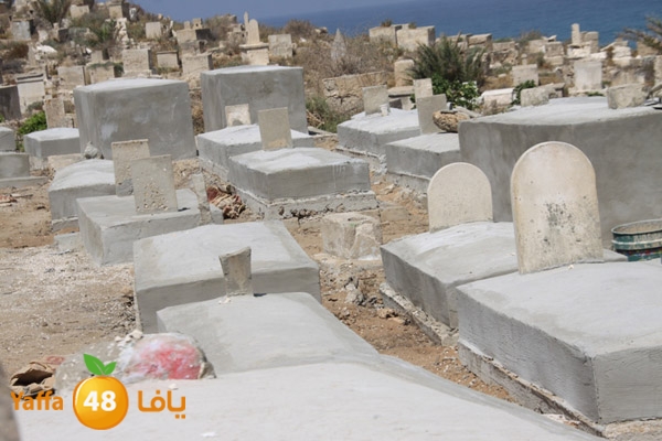 kazakhananew520h (23).jpg